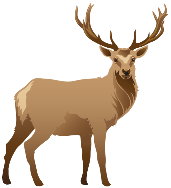 elk